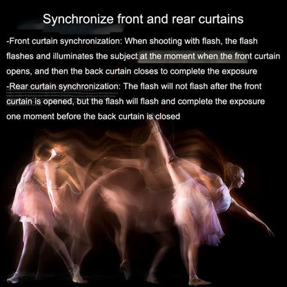 For Canon TTL Oral Insect Insect Teeth Ring Light YONGNUO YN24EX Macro Ring Flash Speedlite(Black) by YONGNUO