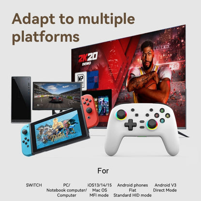 Wireless Bluetooth Somatosensory Vibration Gamepad for Nintendo Switch/Switch PRO, Color: White by bashfashion