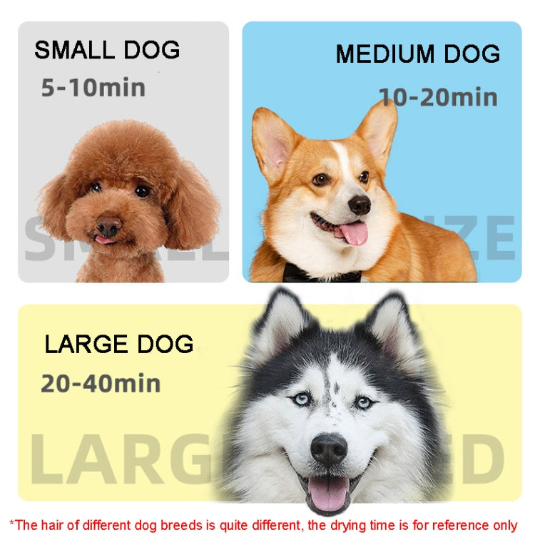 2100W Dog Dryer Stepless Speed Pet Hair Blaster Pet Water Blower 220V EU Plug(Pure White) by bashfashion