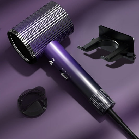 1600W Negative Ion Hair Dryer With 3 Speed Adjustment,CN Plug Standard Edition(Purple) by bashfashion