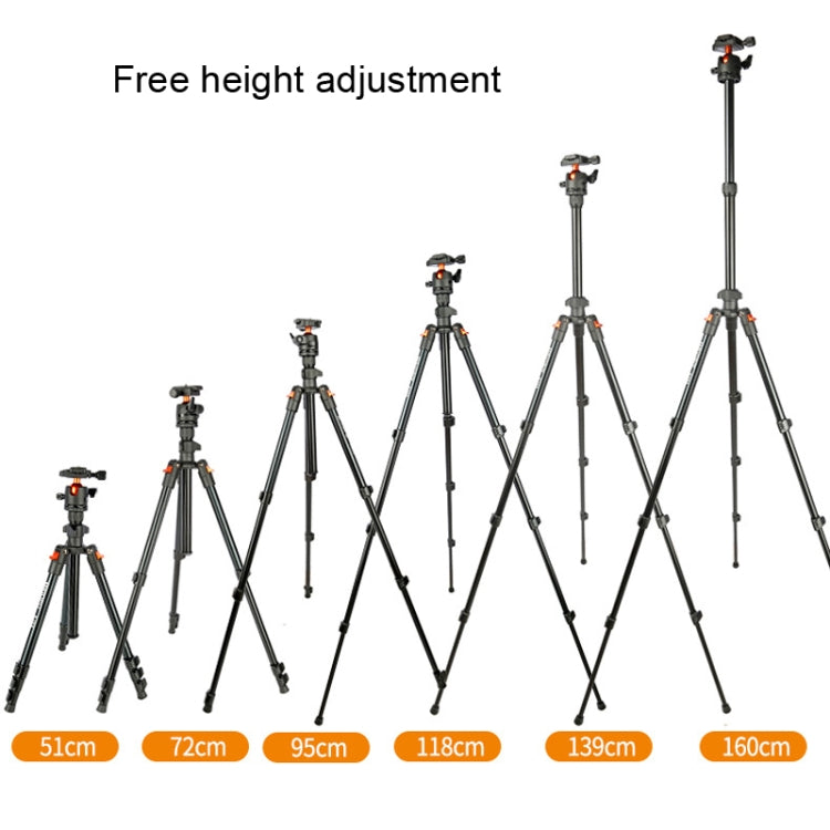 TRIOPO K268+KJ36 DSLR Tripod Photography Stand Portable Cell Phone Micro SLR Tripod by TRIOPO