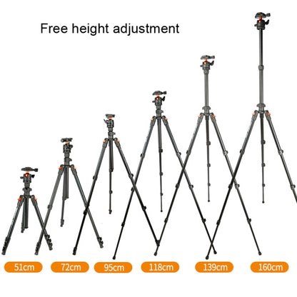 TRIOPO K268+KJ36 DSLR Tripod Photography Stand Portable Cell Phone Micro SLR Tripod by TRIOPO