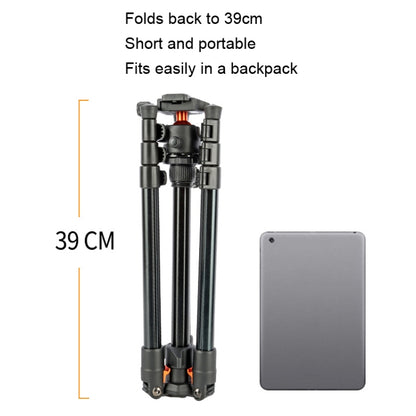 TRIOPO K268+KJ36 DSLR Tripod Photography Stand Portable Cell Phone Micro SLR Tripod by TRIOPO