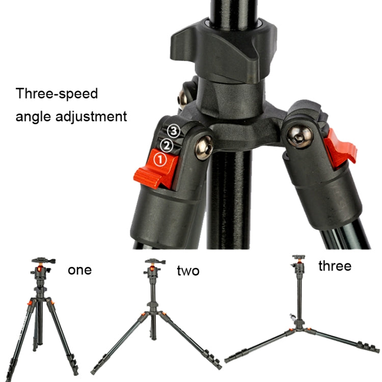 TRIOPO K268+KJ36 DSLR Tripod Photography Stand Portable Cell Phone Micro SLR Tripod by TRIOPO