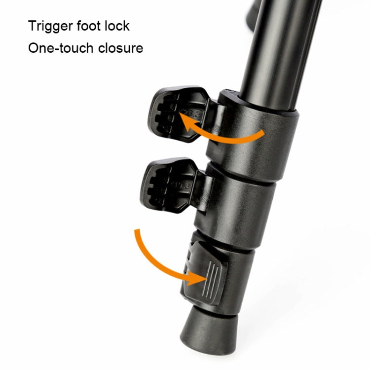 TRIOPO K268+KJ36 DSLR Tripod Photography Stand Portable Cell Phone Micro SLR Tripod by TRIOPO