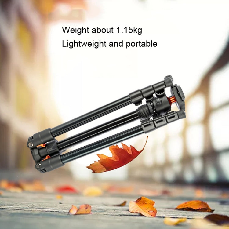 TRIOPO K268+KJ36 DSLR Tripod Photography Stand Portable Cell Phone Micro SLR Tripod by TRIOPO