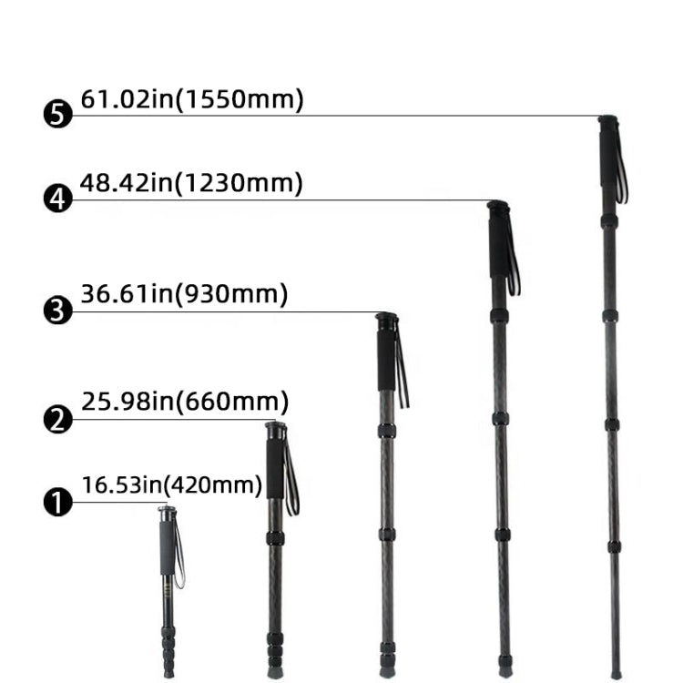 BEXIN P285C Carbon Fiber DSLR Camera Monopod Mountaineering Stick Photography Selfie Holder by BEXIN