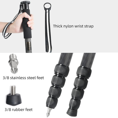 BEXIN P285C Carbon Fiber DSLR Camera Monopod Mountaineering Stick Photography Selfie Holder by BEXIN