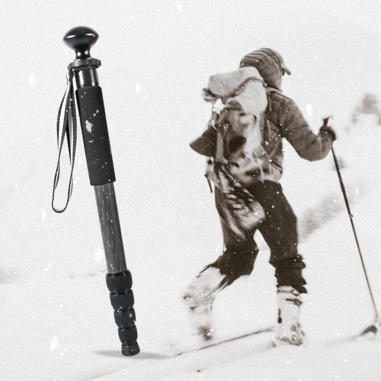 BEXIN P285C Carbon Fiber DSLR Camera Monopod Mountaineering Stick Photography Selfie Holder by BEXIN