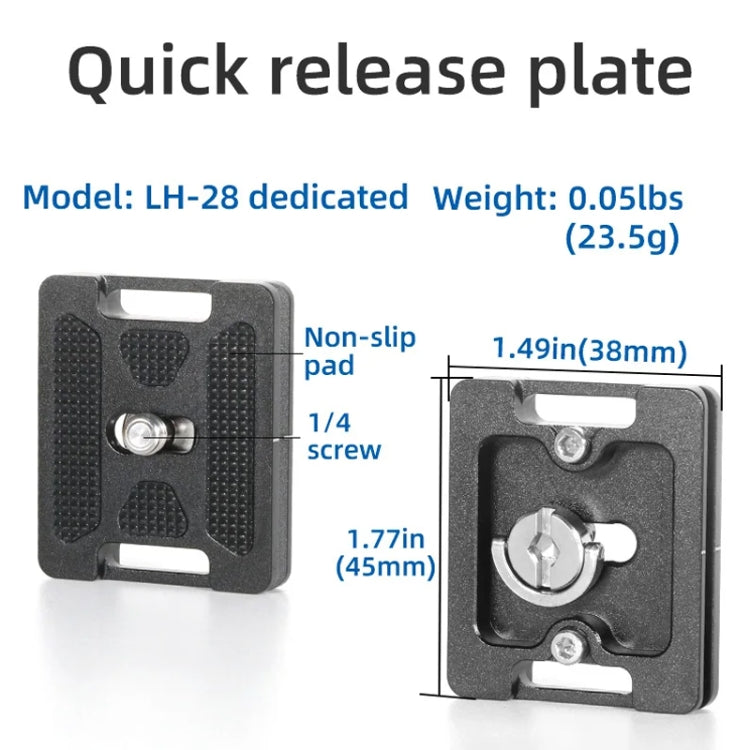 BEXIN RC254+LH-28 Carbon Fiber Portable Folding Tripod SLR Camera Low Gravity Center Gimbal Photography Bracket by BEXIN