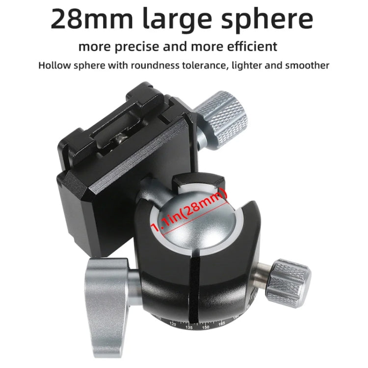 BEXIN RC254+LH-28 Carbon Fiber Portable Folding Tripod SLR Camera Low Gravity Center Gimbal Photography Bracket by BEXIN