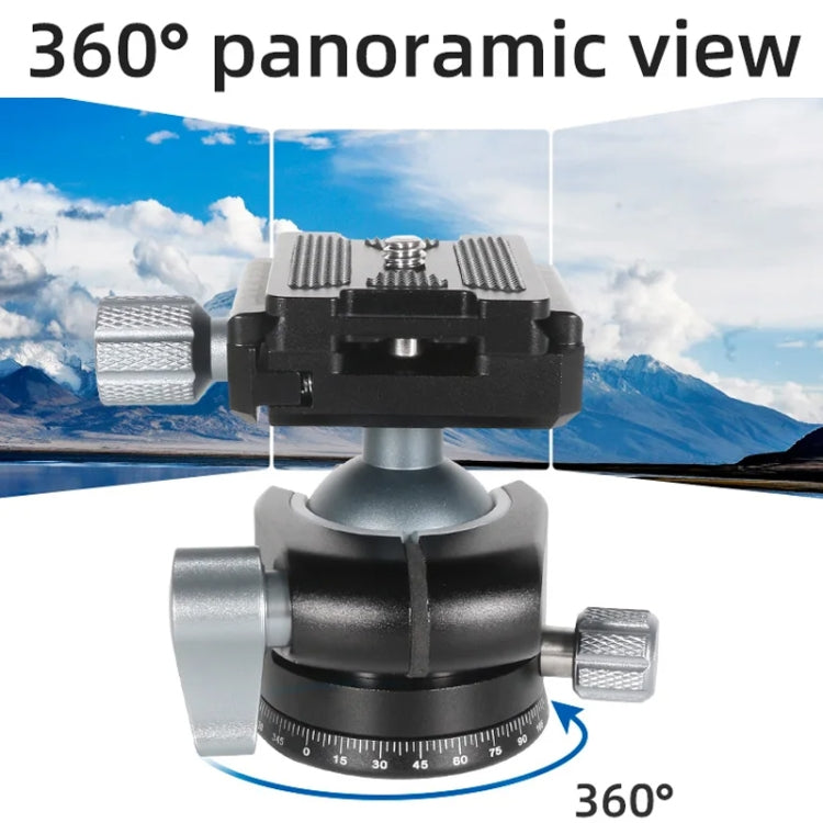 BEXIN RC254+LH-28 Carbon Fiber Portable Folding Tripod SLR Camera Low Gravity Center Gimbal Photography Bracket by BEXIN