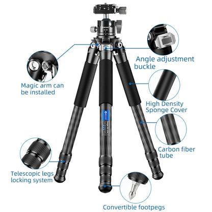 BEXIN RC254 Carbon Fiber Portable Folding Tripod SLR Camera Low Gravity Center Gimbal Photography Bracket by BEXIN