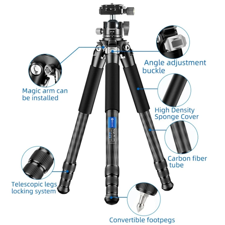 BEXIN RC254+LH-28 Carbon Fiber Portable Folding Tripod SLR Camera Low Gravity Center Gimbal Photography Bracket by BEXIN