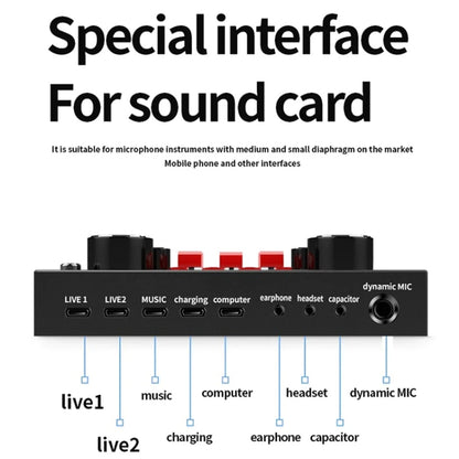 BM800+V8S Sound Card Set Audio Condenser Mic Studio Singing Microphone by bashfashion