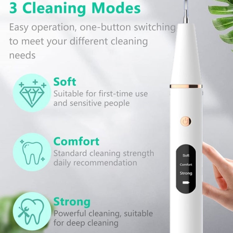 Ultrasonic Electric Dental Scaler Teeth Plaque Cleaner Dental Stone Removal With LED Light, Spec: Pacakge B with Accessories by bashfashion