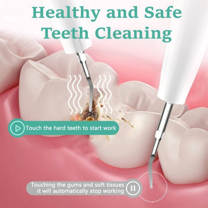 Ultrasonic Electric Dental Scaler Teeth Plaque Cleaner Dental Stone Removal With LED Light, Spec: Pacakge B with Accessories by bashfashion