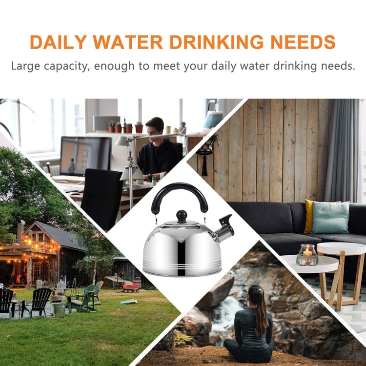 Thickened Stainless Steel Hemispherical Whistle Induction Cooker Gas Stove Kettle, Capacity: 2L Gold by bashfashion