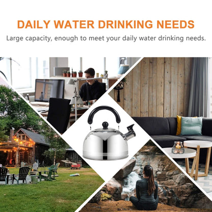 Thickened Stainless Steel Hemispherical Whistle Induction Cooker Gas Stove Kettle, Capacity: 3L Red by bashfashion