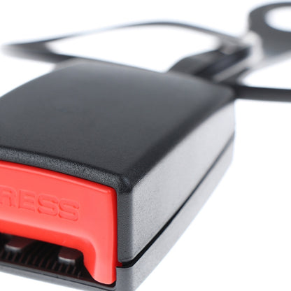 TBD06047929_B3.jpg@3b144d9e5fb50103d2fbd3d0698eb81a