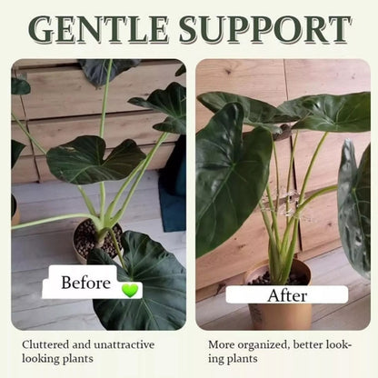 BJ138-002 Plant Roots Fixing Bracket Gardening Care Tools by bashfashion