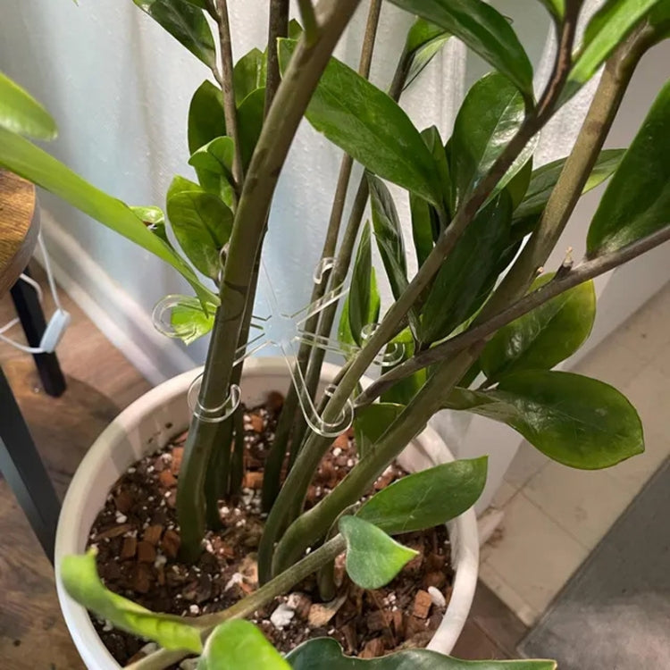 Small Plant Stem Support Bracket Garden Vegetable Plant Root Stem Holder by bashfashion