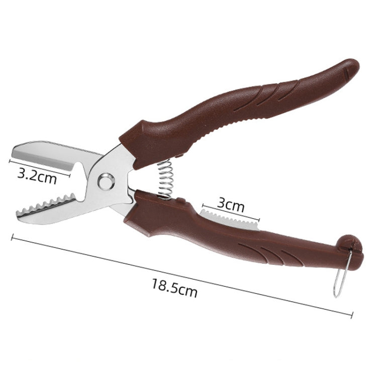 Multifunctional Chestnut Shelling Tool Quick Peeling Chestnut Knife(Dark Brown) by bashfashion
