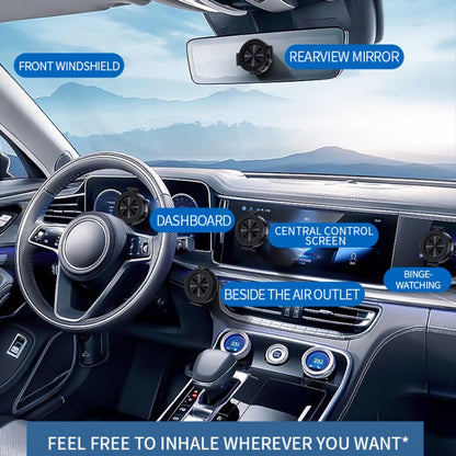 TBD06054287_B16.jpg@5b88e83cb44c52c0cec6d885851c3a72