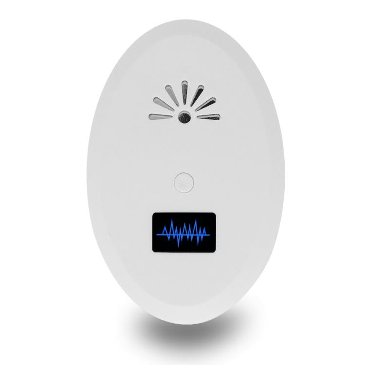 TBD0605577201A.jpg@85312b29e8e4180501210903a9f4e0e8