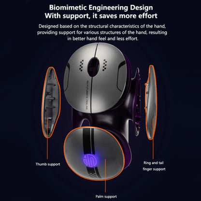 TBD06055774_B10.jpg@31234b7ab0ee0a9102e8b77235a83d85