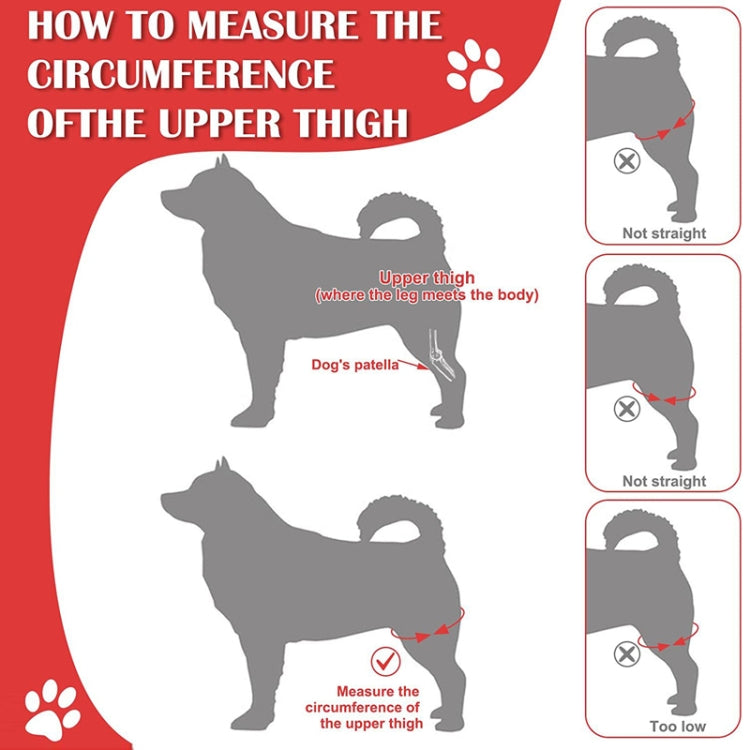 Dog Leg Fracture Protection Injury Support Belt, Size: S(Black) by bashfashion