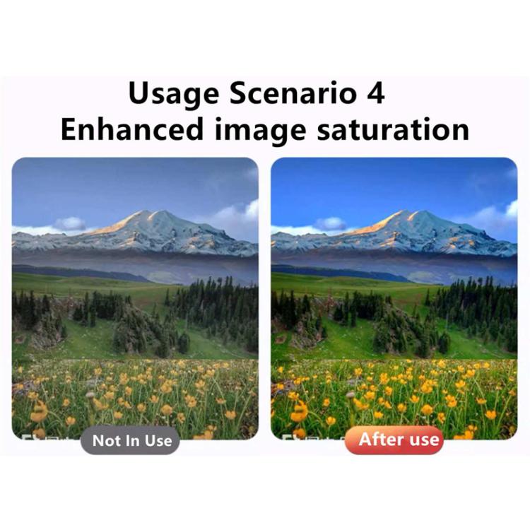 TBD06056299_B7.jpg@8c314fd39dd5c4b97365743867338fa6