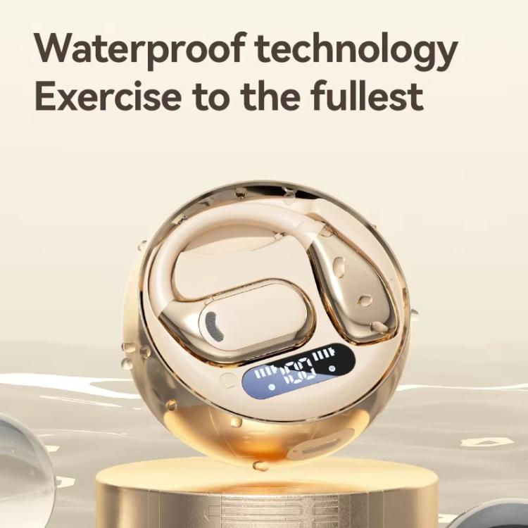 TBD06056512_B5.jpg@f625b42a6577121c4a98f83584963cb0