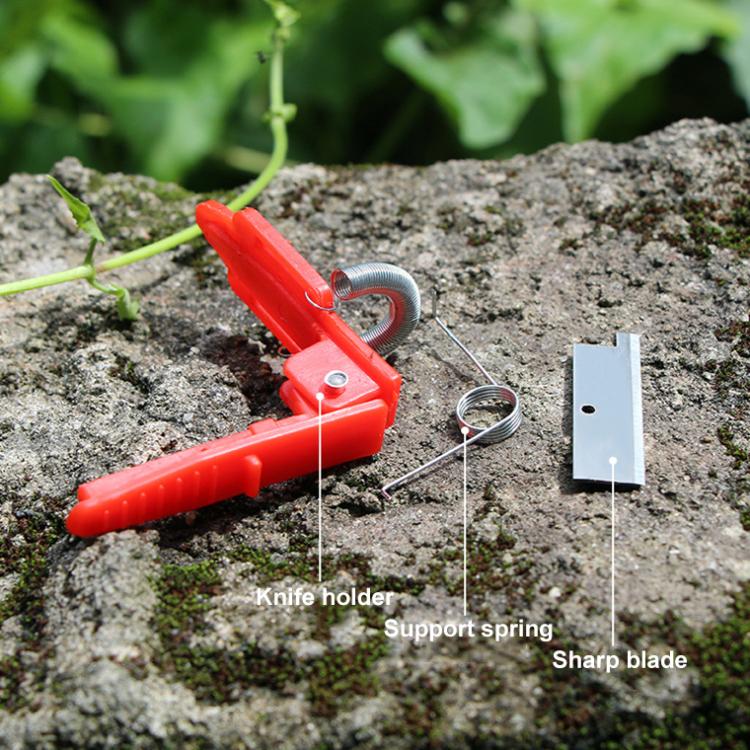 TBD06056959_B2.jpg@f8c594dfc3dece3640833ed899fb9253