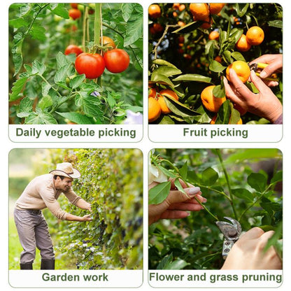 TBD06056959_B4.jpg@cdc717d64ca8431495b06a7f50076976