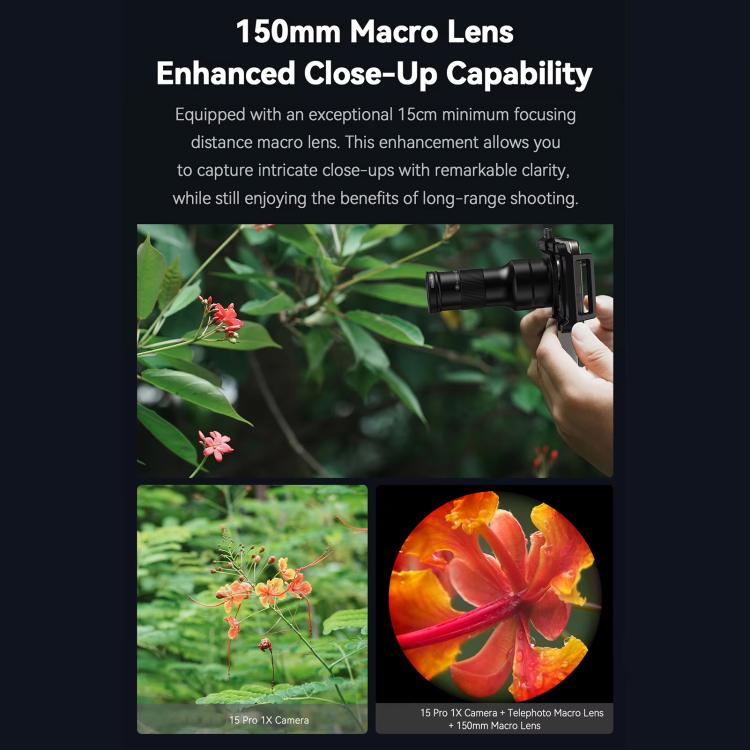 TBD06057103_11.jpg@82332e9c776981ef55ec4c9d2d74c358