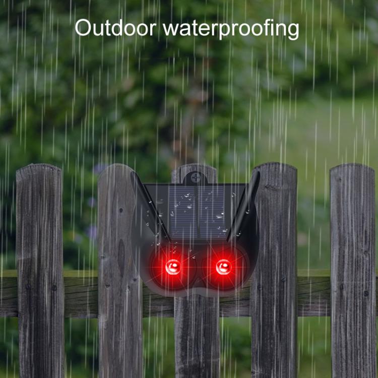 TBD06057221_B6.jpg@041e8ffae4cb813a4bd2f3038bdd9b88