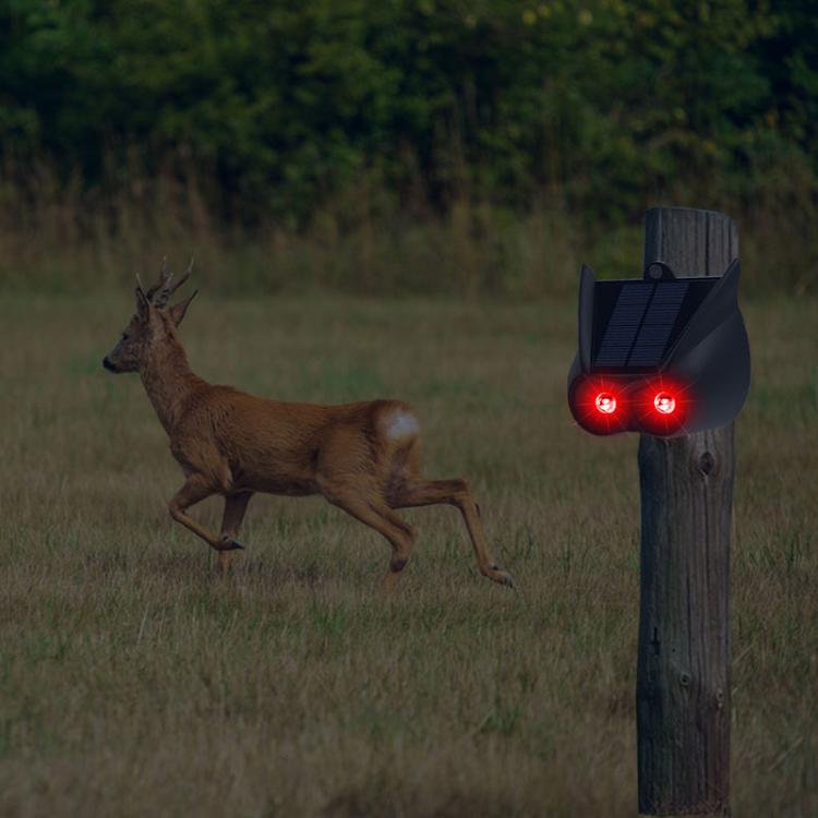 TBD06057221_B7.jpg@fce363eaa9a98548988e6557a9b97e1e