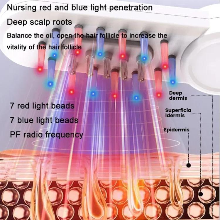 Hair Oil Applicator Roller Ball Red / Blue Light Electric Massage Comb Hair Regrowth Conductive Comb(White) by bashfashion