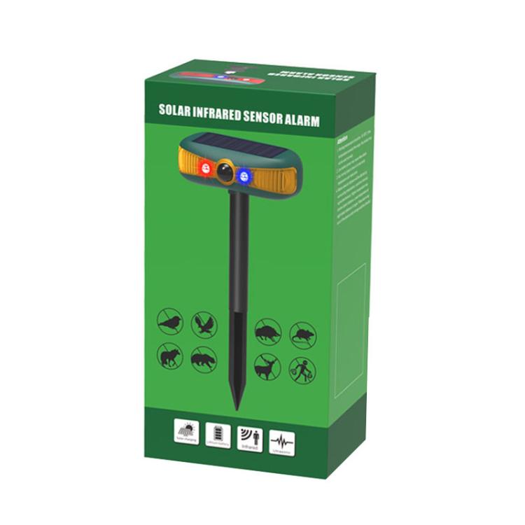 TBD06057263_B6.jpg@f89929deb6c474b1e0dc1214183b1b3b