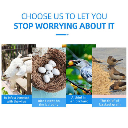 TBD06057755_B2.jpg@4145af1938139a3a98e5bbfd31f2e08b