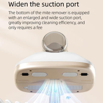 TBD06057811_B6.jpg@da9008adac028728e91b641b8feb4a19