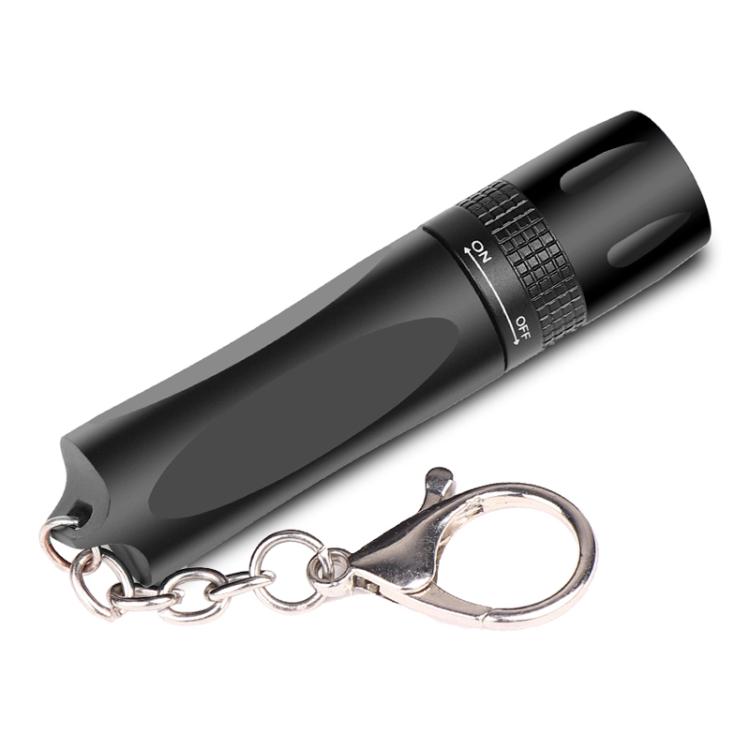 Small LED Portable Flashlight With Keychain(Black) by bashfashion