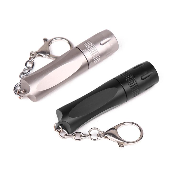 Small LED Portable Flashlight With Keychain(Black) by bashfashion