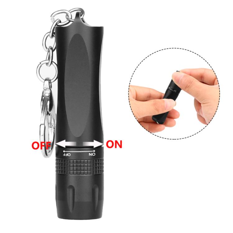 Small LED Portable Flashlight With Keychain(Black) by bashfashion