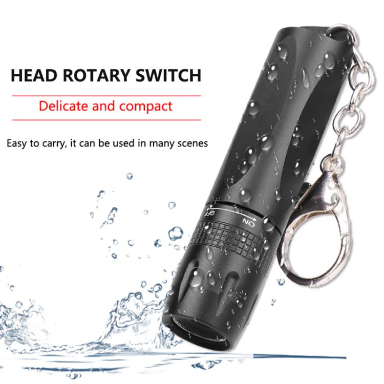 Small LED Portable Flashlight With Keychain(Black) by bashfashion