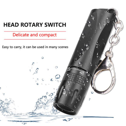 Small LED Portable Flashlight With Keychain(Black) by bashfashion