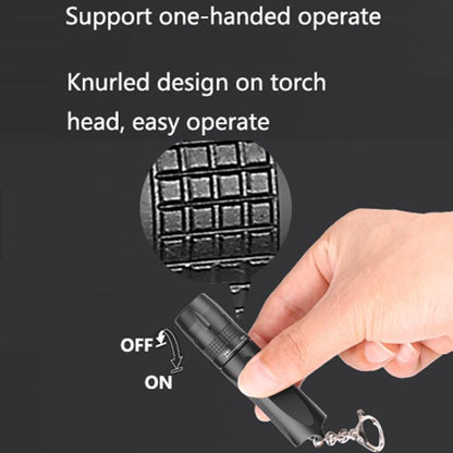 Small LED Portable Flashlight With Keychain(Black) by bashfashion