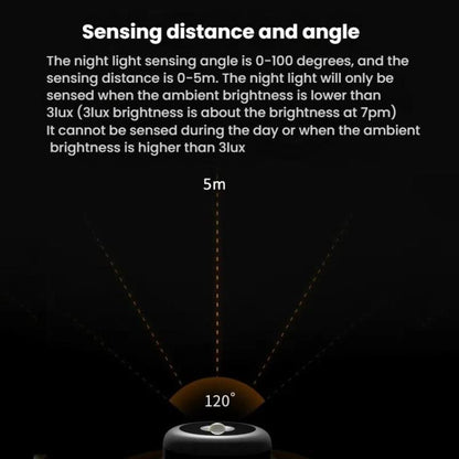 TBD06057972_B5.jpg@0348cf108e4fee386684f9e83ae762e9