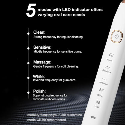 Sarmocare S100 IPX7 Waterproof Portable Sonic Electric Toothbrush with 8-brush Heads(Navy Blue) by Sarmocare